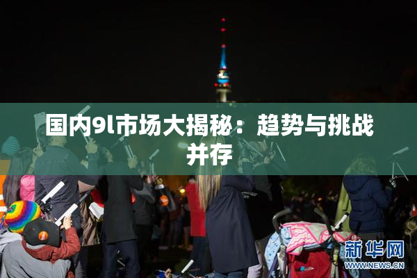 国内9l市场大揭秘：趋势与挑战并存