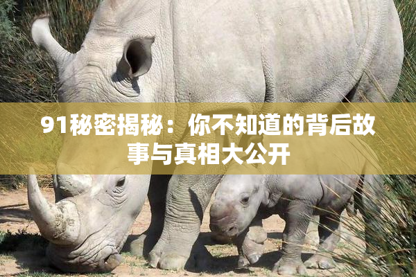 91秘密揭秘：你不知道的背后故事与真相大公开