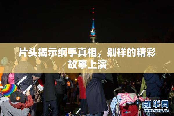 片头揭示纲手真相，别样的精彩故事上演
