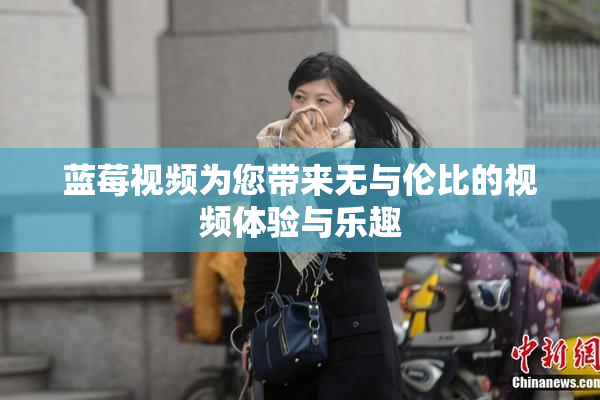 蓝莓视频为您带来无与伦比的视频体验与乐趣