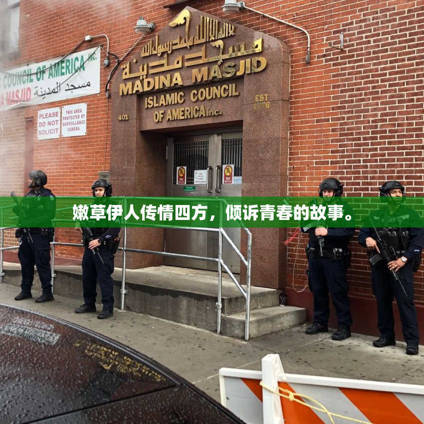 嫩草伊人传情四方，倾诉青春的故事。