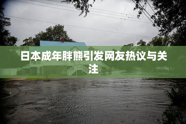 日本成年胖熊引发网友热议与关注