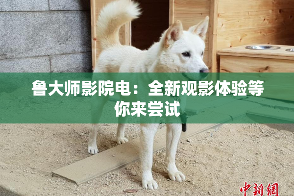 鲁大师影院电：全新观影体验等你来尝试