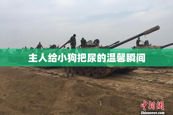 主人给小狗把尿的温馨瞬间
