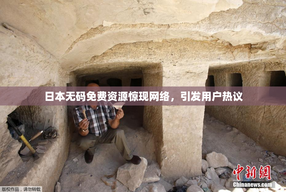 日本无码免费资源惊现网络，引发用户热议
