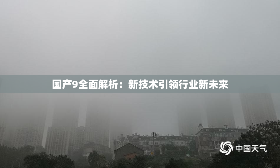 国产9全面解析：新技术引领行业新未来