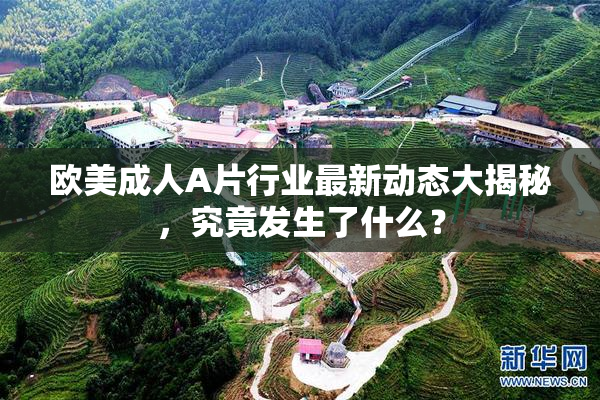 欧美成人A片行业最新动态大揭秘，究竟发生了什么？