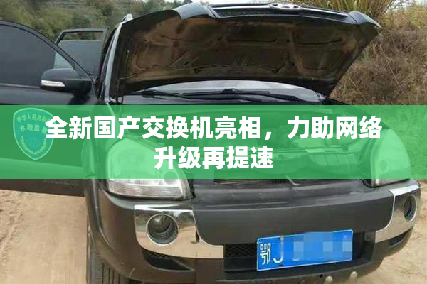 全新国产交换机亮相，力助网络升级再提速