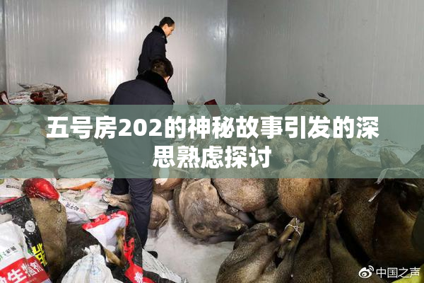 五号房202的神秘故事引发的深思熟虑探讨