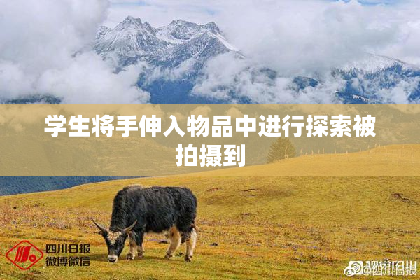 学生将手伸入物品中进行探索被拍摄到