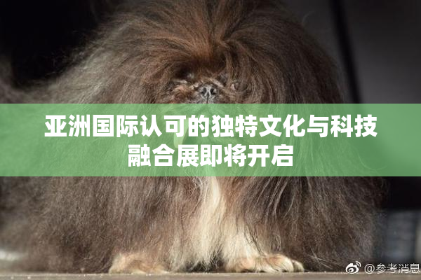 亚洲国际认可的独特文化与科技融合展即将开启