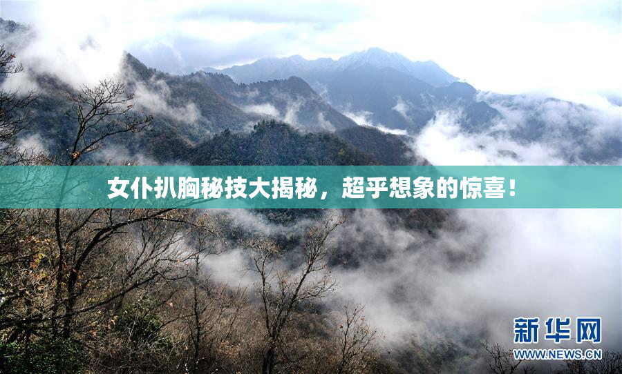 女仆扒胸秘技大揭秘，超乎想象的惊喜！