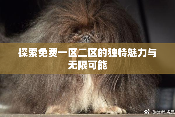 探索免费一区二区的独特魅力与无限可能