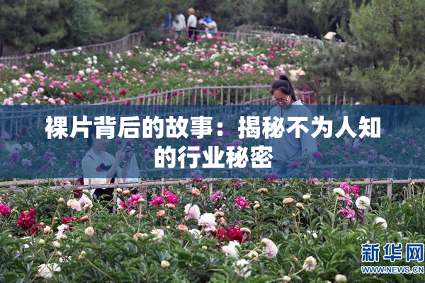 裸片背后的故事：揭秘不为人知的行业秘密