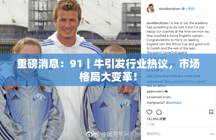 重磅消息：91丨牛引发行业热议，市场格局大变革！