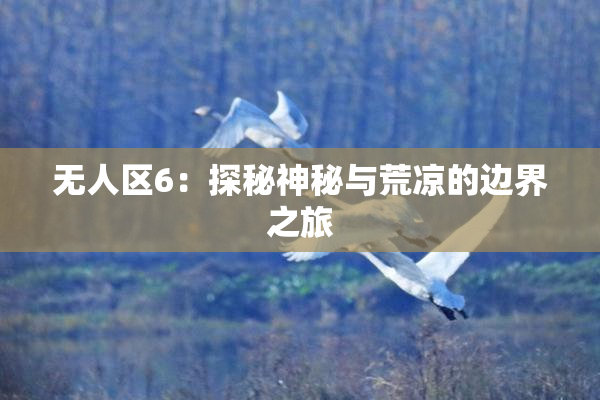 无人区6：探秘神秘与荒凉的边界之旅