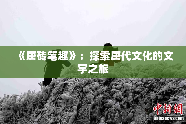 《唐砖笔趣》：探索唐代文化的文字之旅