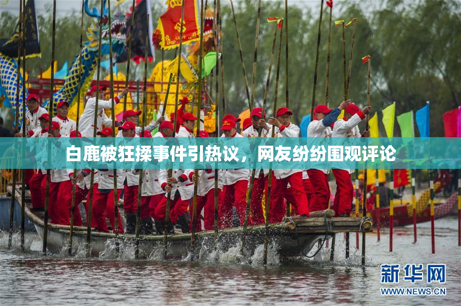 白鹿被狂揉事件引热议，网友纷纷围观评论