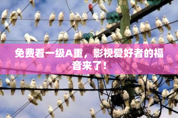 免费看一级A重，影视爱好者的福音来了！
