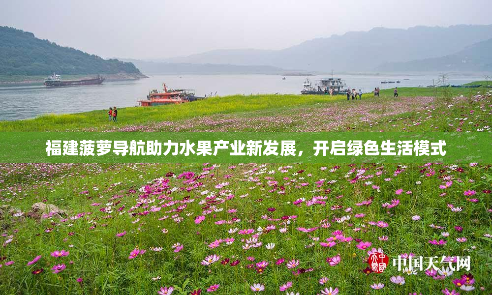 福建菠萝导航助力水果产业新发展，开启绿色生活模式