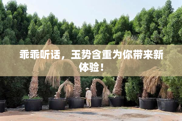 乖乖听话，玉势含重为你带来新体验！