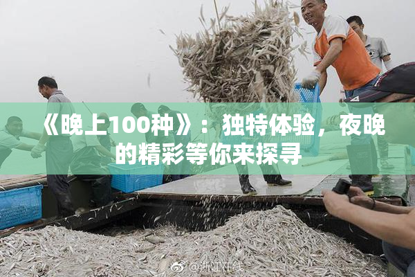 《晚上100种》：独特体验，夜晚的精彩等你来探寻