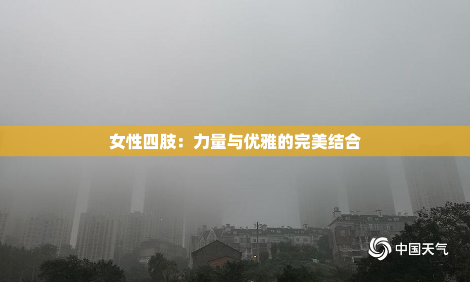 女性四肢：力量与优雅的完美结合