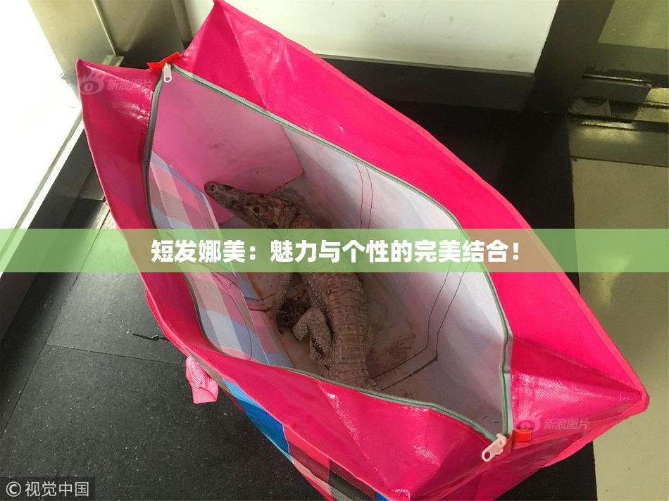 短发娜美：魅力与个性的完美结合！