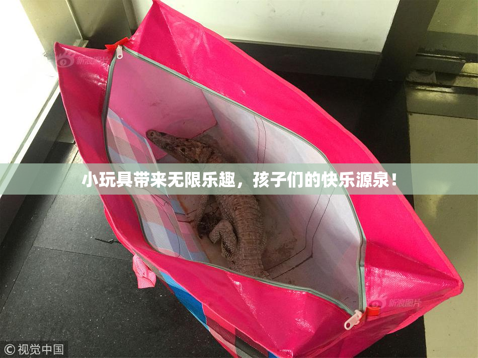 小玩具带来无限乐趣，孩子们的快乐源泉！