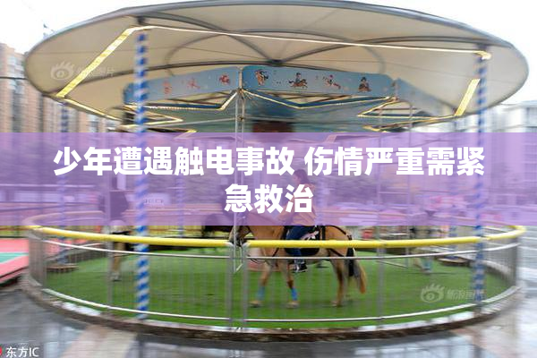 少年遭遇触电事故 伤情严重需紧急救治