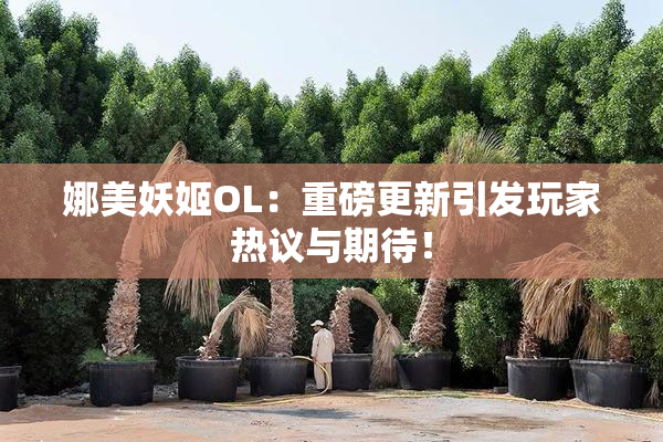 娜美妖姬OL：重磅更新引发玩家热议与期待！