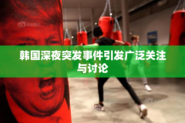 韩国深夜突发事件引发广泛关注与讨论