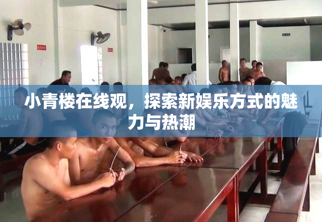 小青楼在线观，探索新娱乐方式的魅力与热潮