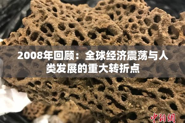 2008年回顾：全球经济震荡与人类发展的重大转折点