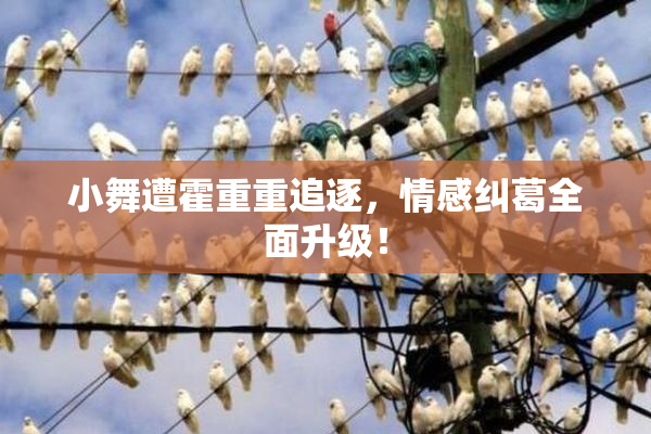 小舞遭霍重重追逐，情感纠葛全面升级！