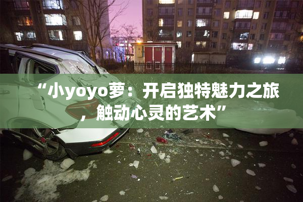 “小yoyo萝：开启独特魅力之旅，触动心灵的艺术”