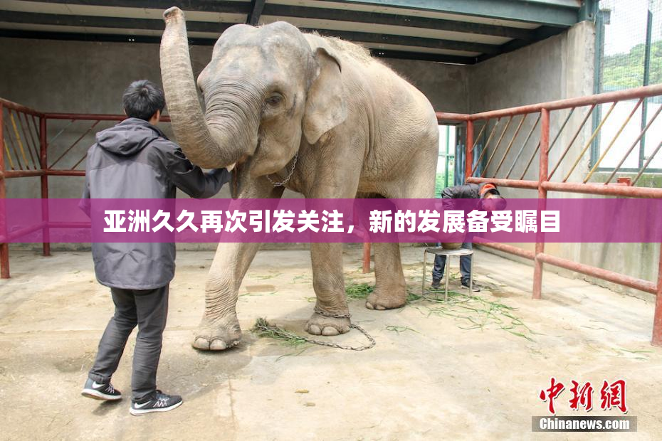 亚洲久久再次引发关注，新的发展备受瞩目