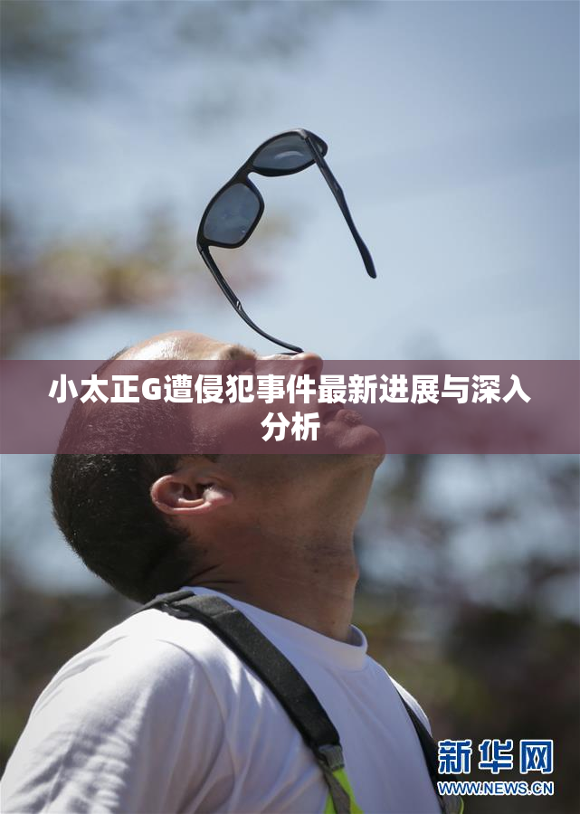 小太正G遭侵犯事件最新进展与深入分析