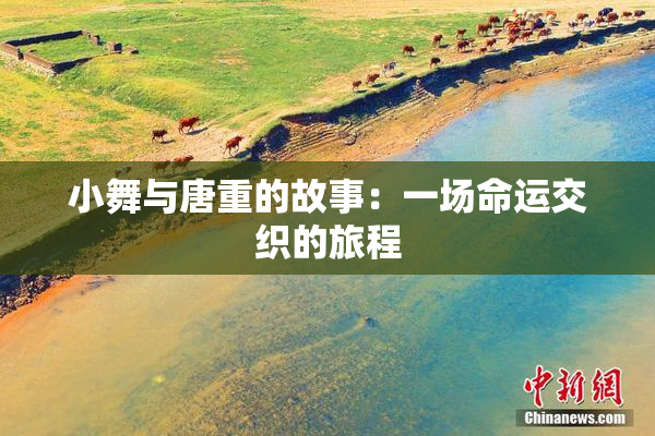 小舞与唐重的故事：一场命运交织的旅程