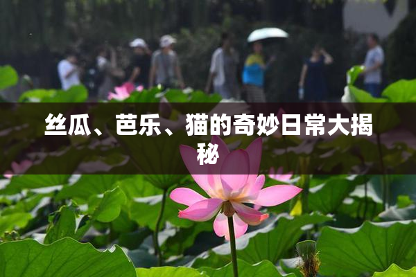 丝瓜、芭乐、猫的奇妙日常大揭秘