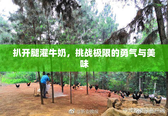 扒开腿灌牛奶，挑战极限的勇气与美味