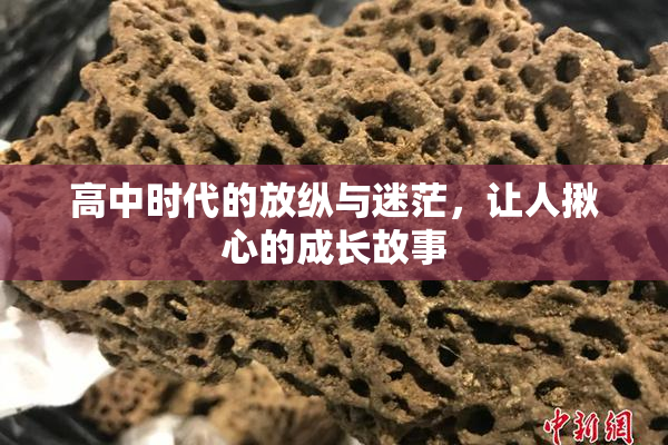 高中时代的放纵与迷茫，让人揪心的成长故事