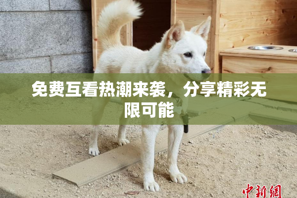 免费互看热潮来袭，分享精彩无限可能