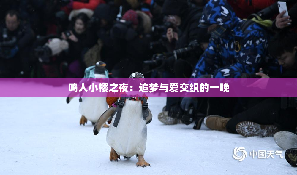 鸣人小樱之夜：追梦与爱交织的一晚