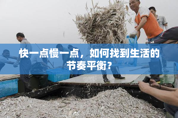 快一点慢一点，如何找到生活的节奏平衡？