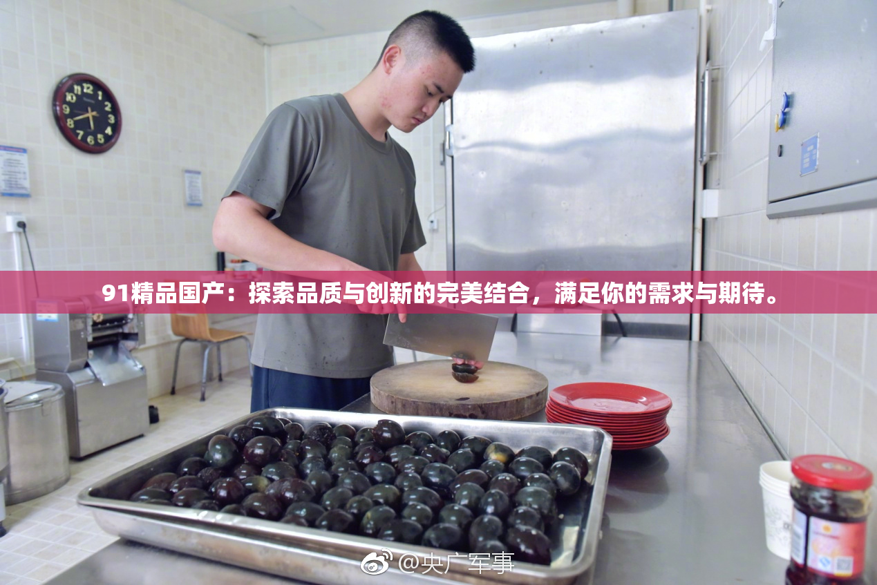 91精品国产：探索品质与创新的完美结合，满足你的需求与期待。
