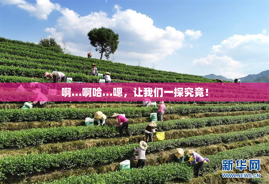 啊…啊哈…嗯，让我们一探究竟！