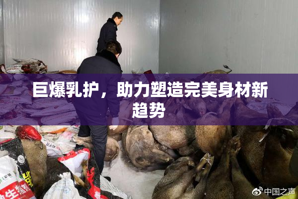 巨爆乳护，助力塑造完美身材新趋势