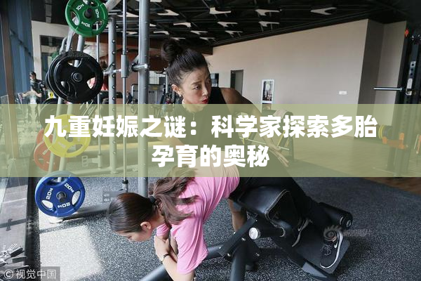 九重妊娠之谜：科学家探索多胎孕育的奥秘
