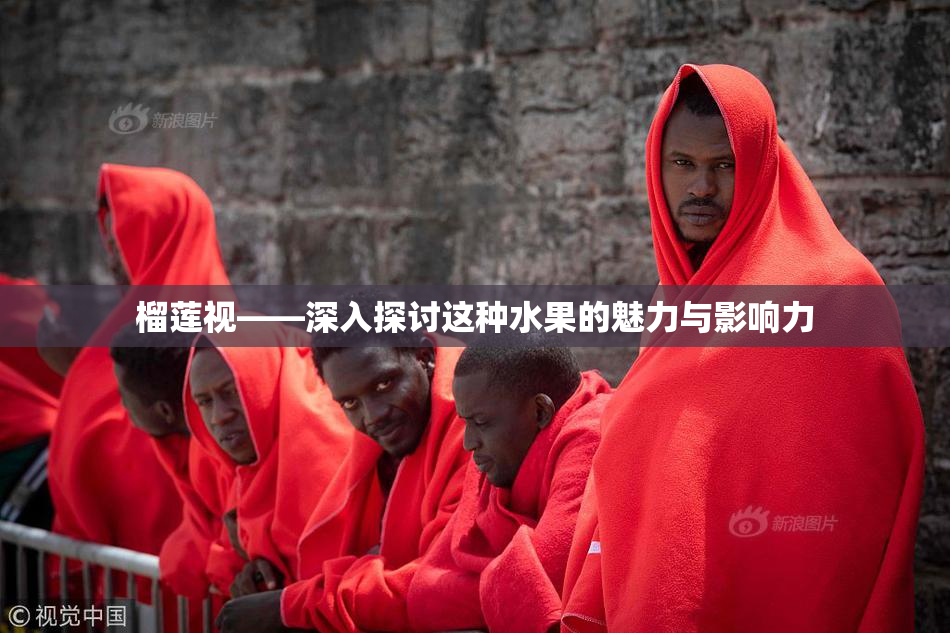 榴莲视——深入探讨这种水果的魅力与影响力